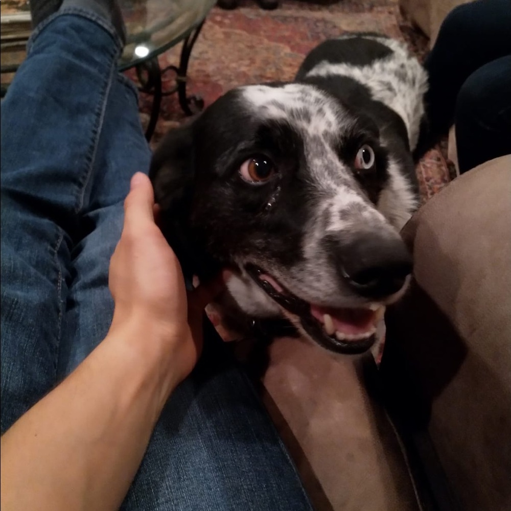 Meet your Posher, Kate